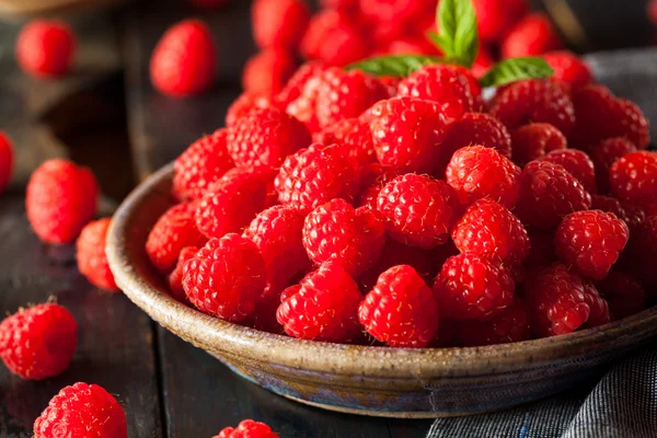 Frische Bio-rohe Himbeeren — Stockfoto