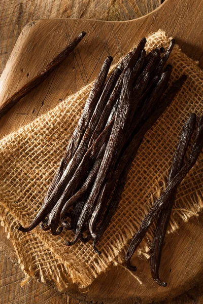 Ham organik vanilya fasulye — Stok fotoğraf