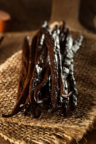 Raw Organic Vanilla Beans — Stock Photo, Image