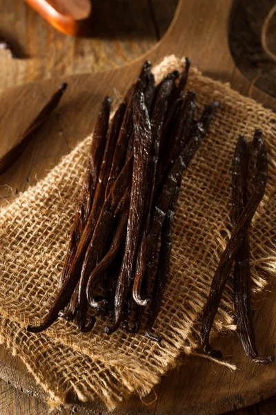 Raw Organic Vanilla Beans — Stock Photo, Image