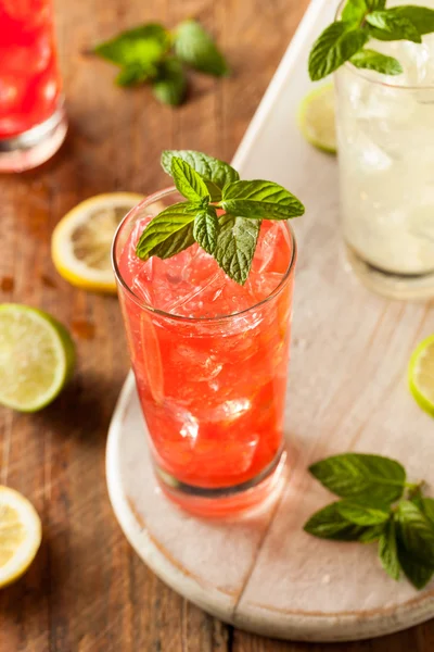 Organic Fresh Italian Soda — Stock Photo, Image