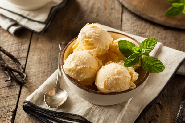 Gelato alla vaniglia biologico fatto in casa — Foto Stock