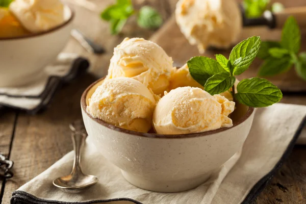 Helado de vainilla ecológico casero — Foto de Stock