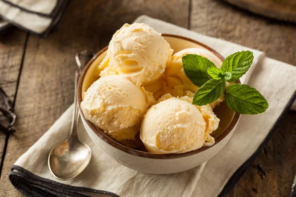 Homemade Organic Vanilla Ice Cream — Stock Photo, Image