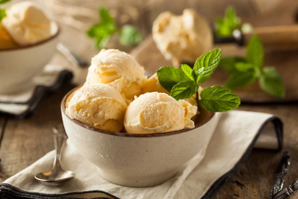 Homemade Organic Vanilla Ice Cream — Stock Photo, Image