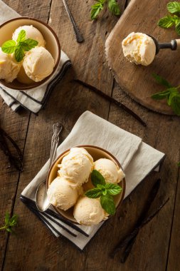 Ev yapımı organik vanilyalı dondurma