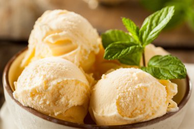 Ev yapımı organik vanilyalı dondurma