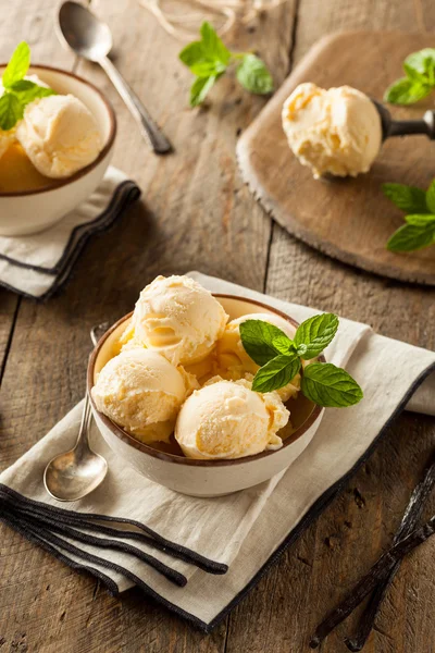 Gelato alla vaniglia biologico fatto in casa — Foto Stock