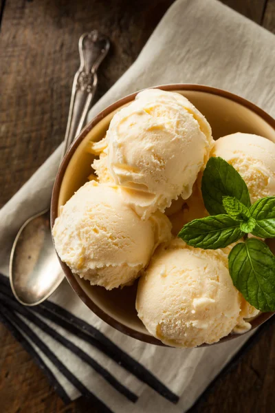 Gelato alla vaniglia biologico fatto in casa — Foto Stock