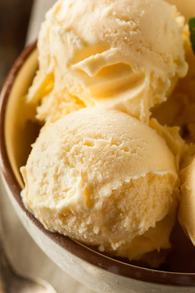 Házi szerves vanília fagylalttal — Stock Fotó