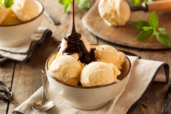 Ev yapımı organik vanilyalı dondurma — Stok fotoğraf