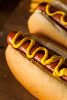 Barbekü ızgara sosis