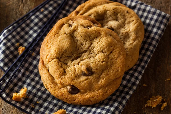 Galletas de chocolate caseras —  Fotos de Stock