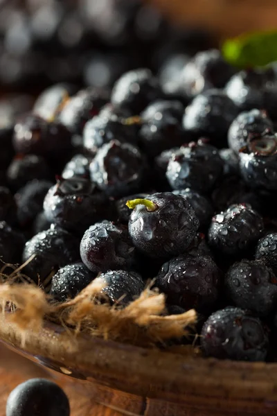 Fresh Raw Organic Blueberries — Stock Photo, Image