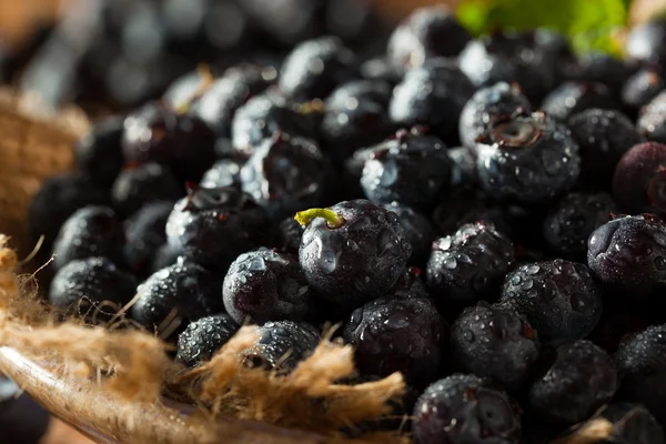 Fresh Raw Organic Blueberries — Stock Photo, Image