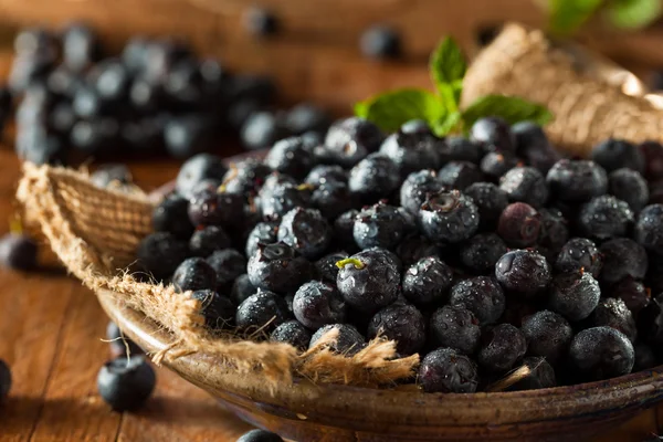 Fresh Raw Organic Blueberries — Stock Photo, Image