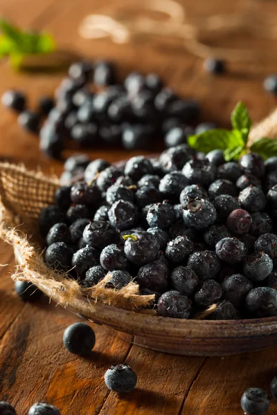 Fresh Raw Organic Blueberries — Stock Photo, Image