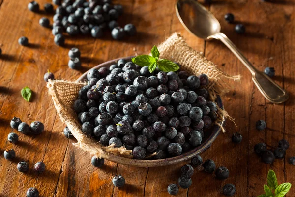 Fresh Raw Organic Blueberries — Stock Photo, Image