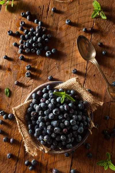 Fresh Raw Organic Blueberries — Stock Photo, Image
