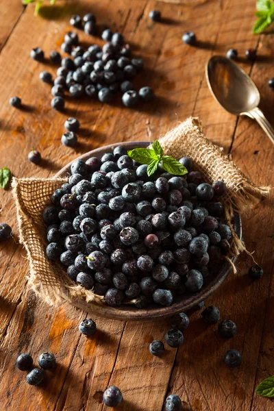 Fresh Raw Organic Blueberries — Stock Photo, Image