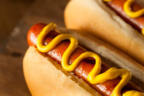 Barbecue gegrilde hotdog — Stockfoto