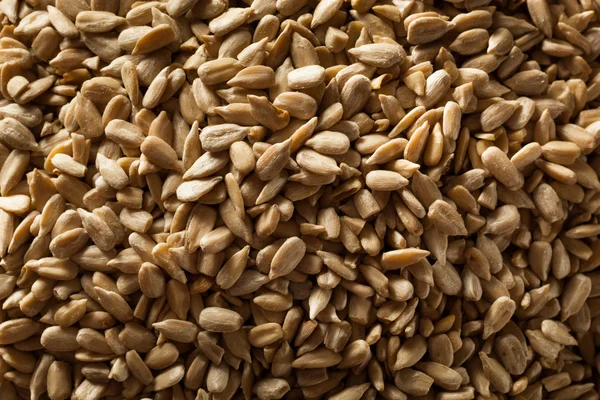 Semillas de girasol con casco orgánico crudo — Foto de Stock