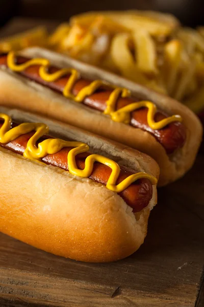 Barbecue gegrilde hotdog — Stockfoto