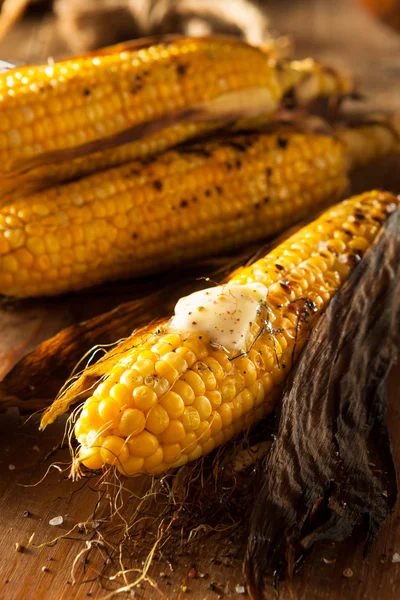 Grilled Corn on the Cob — Stock Photo, Image