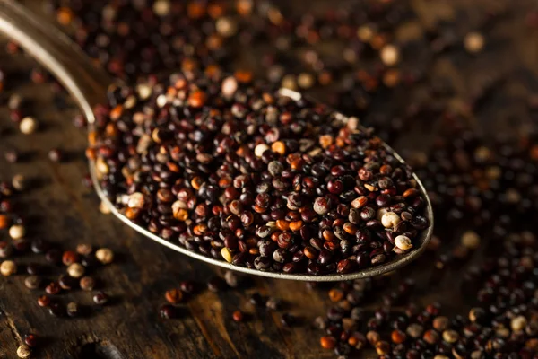 Surové organické Quinoa černá — Stock fotografie