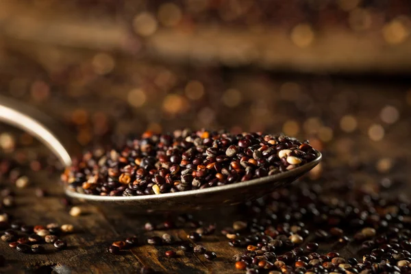 Surové organické Quinoa černá — Stock fotografie