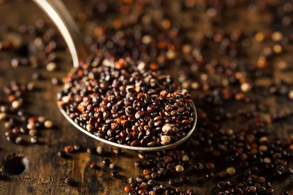 Raw Organic Black Quinoa — Stock Fotó