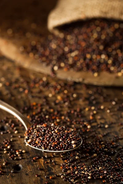RAW οργανικό μαύρο Quinoa — Φωτογραφία Αρχείου