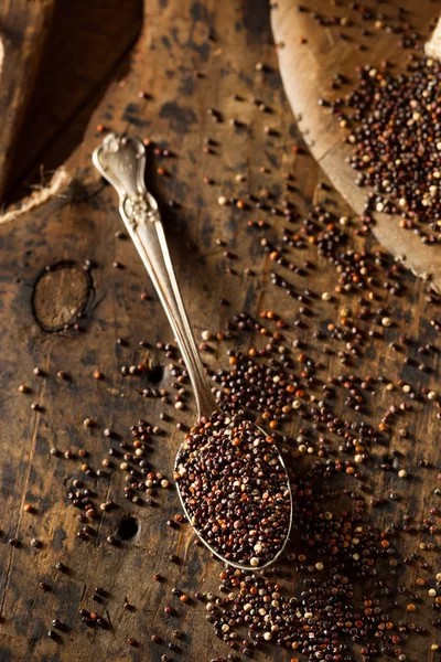 RAW οργανικό μαύρο Quinoa — Φωτογραφία Αρχείου