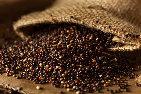 Raw Organic Black Quinoa — Stock Fotó