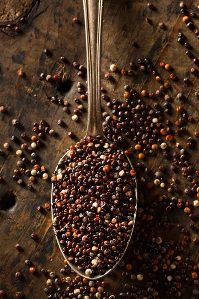 Rauwe biologische zwarte Quinoa — Stockfoto