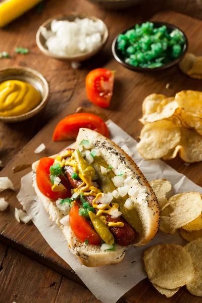 Domácí Chicago stylu Hot Dog — Stock fotografie