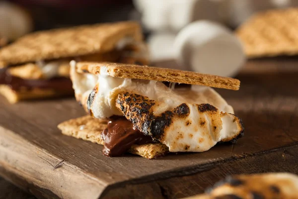 Homemade Gooey S'mores with Chocolate — Stock Photo, Image