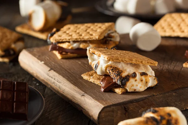 自制胶粘 S'mores 与巧克力 — 图库照片