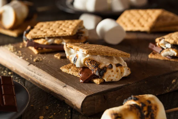 Homemade Gooey S'mores with Chocolate — Stock Photo, Image