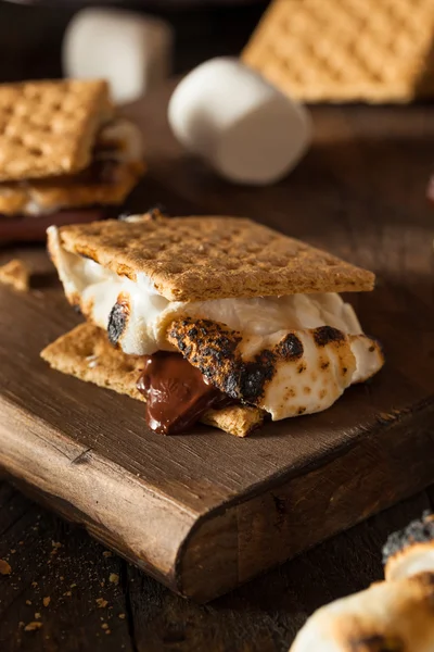 Homemade Gooey S'mores with Chocolate — Stock Photo, Image