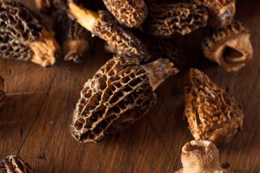 ham organik morel mantarları