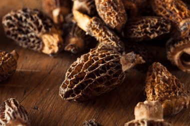 ham organik morel mantarları