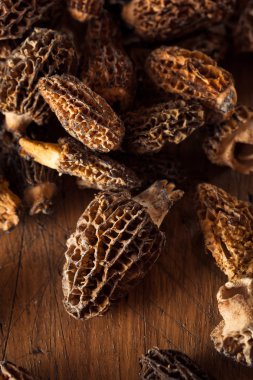 ham organik morel mantarları