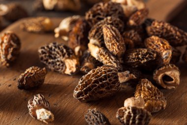 ham organik morel mantarları