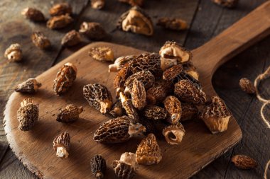 ham organik morel mantarları