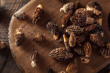 ham organik morel mantarları