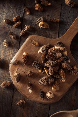 ham organik morel mantarları
