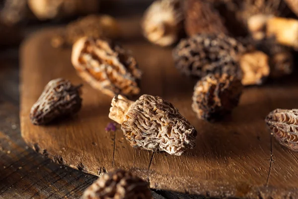 Raw Organic Morel Mushrooms — Stock Photo, Image