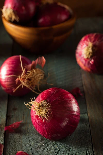 Råa ekologiska röd lök — Stockfoto