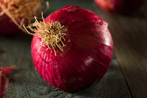 RAW ekologiczne czerwona cebula — Zdjęcie stockowe